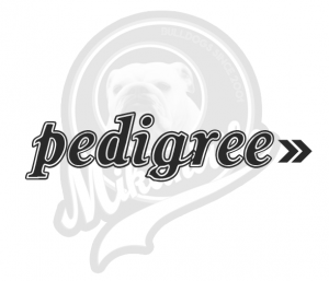 pedigree